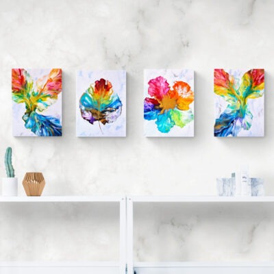 Rainbow Collection (a set of 4)